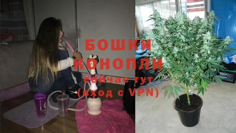 купить наркотики цена  Кызыл  shop как зайти  Каннабис Ganja 